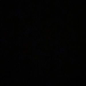 Meet your Posher, Shaina